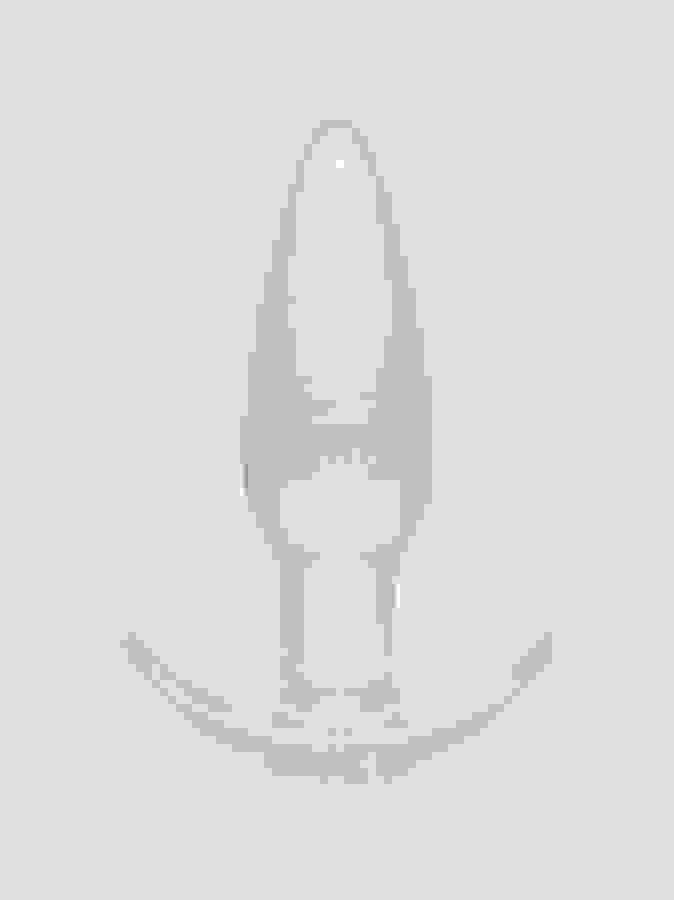 BASICS Clear T-Bar Butt Plug, Clear, hi-res